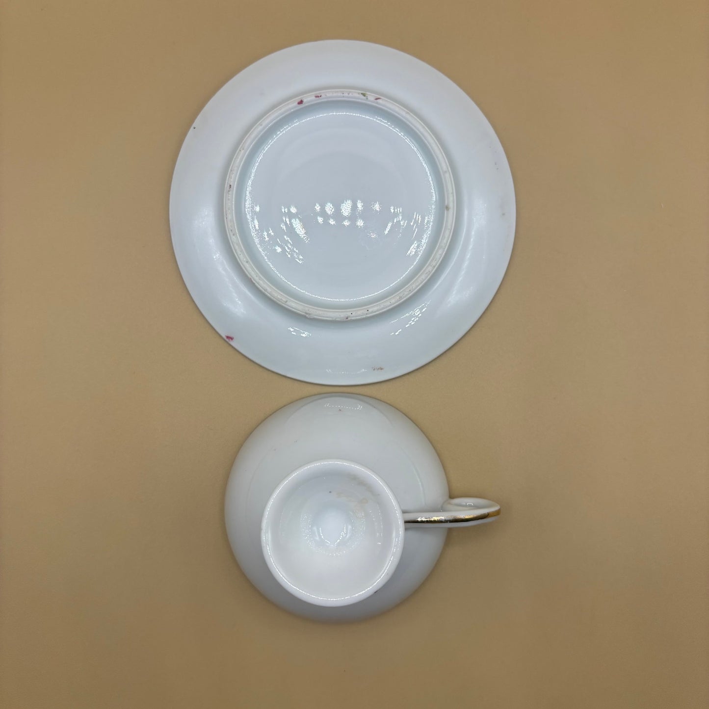 Vintage "Lychen Wohlitz Partie" Souvenir Tea Cup & Saucer with Pink Roses