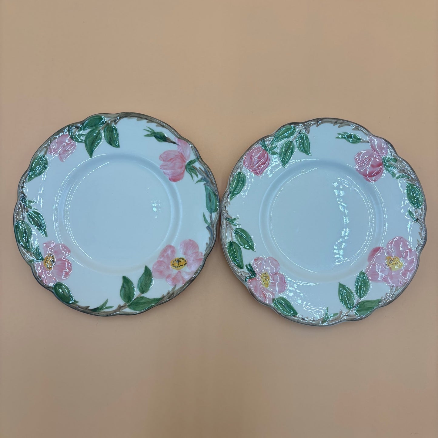 Set of 9 Franciscan Earthenware Replacement Plates - Desert Rose Pattern