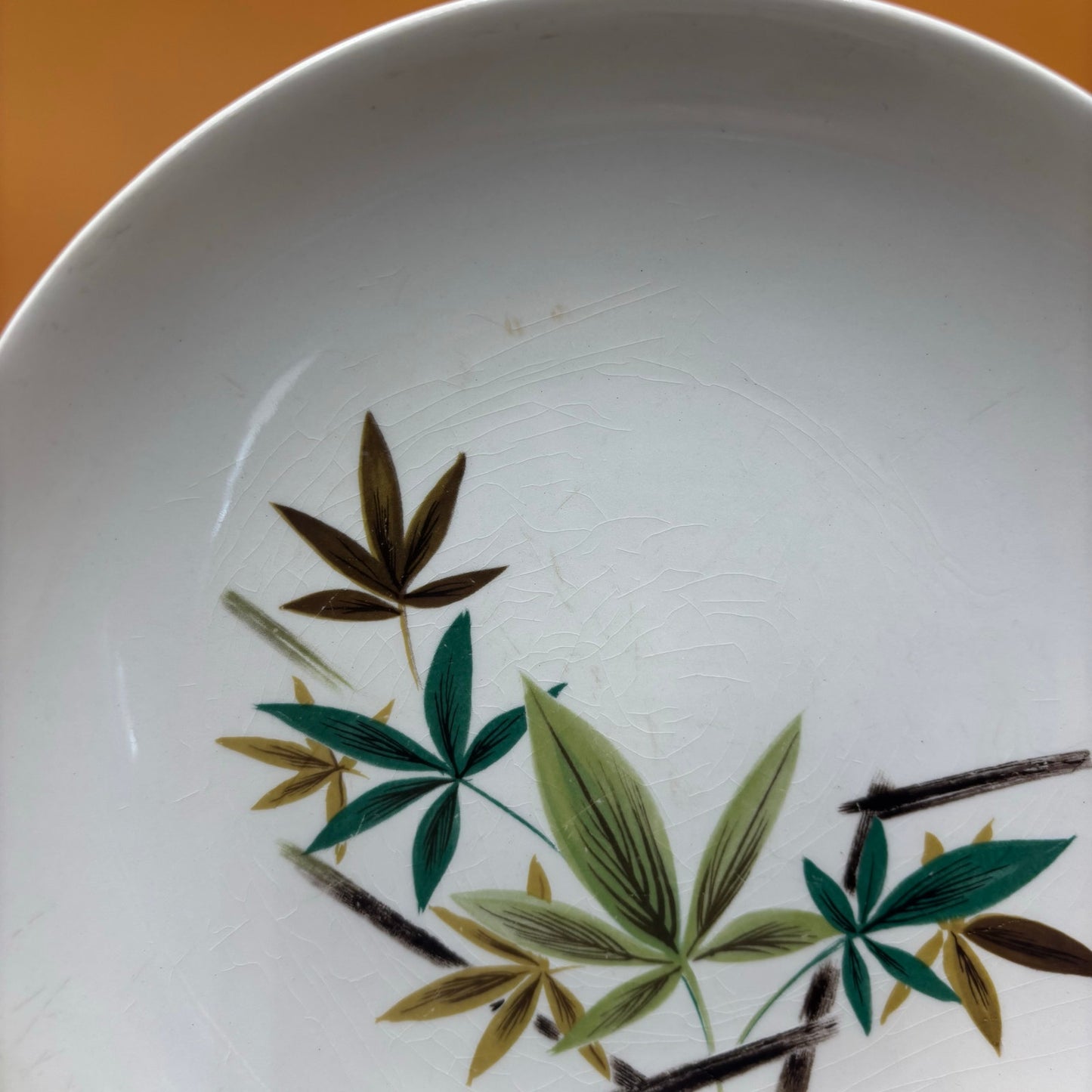 8 Vintage Salem China Co. Bamboo Leaf Pattern Dinner Plates