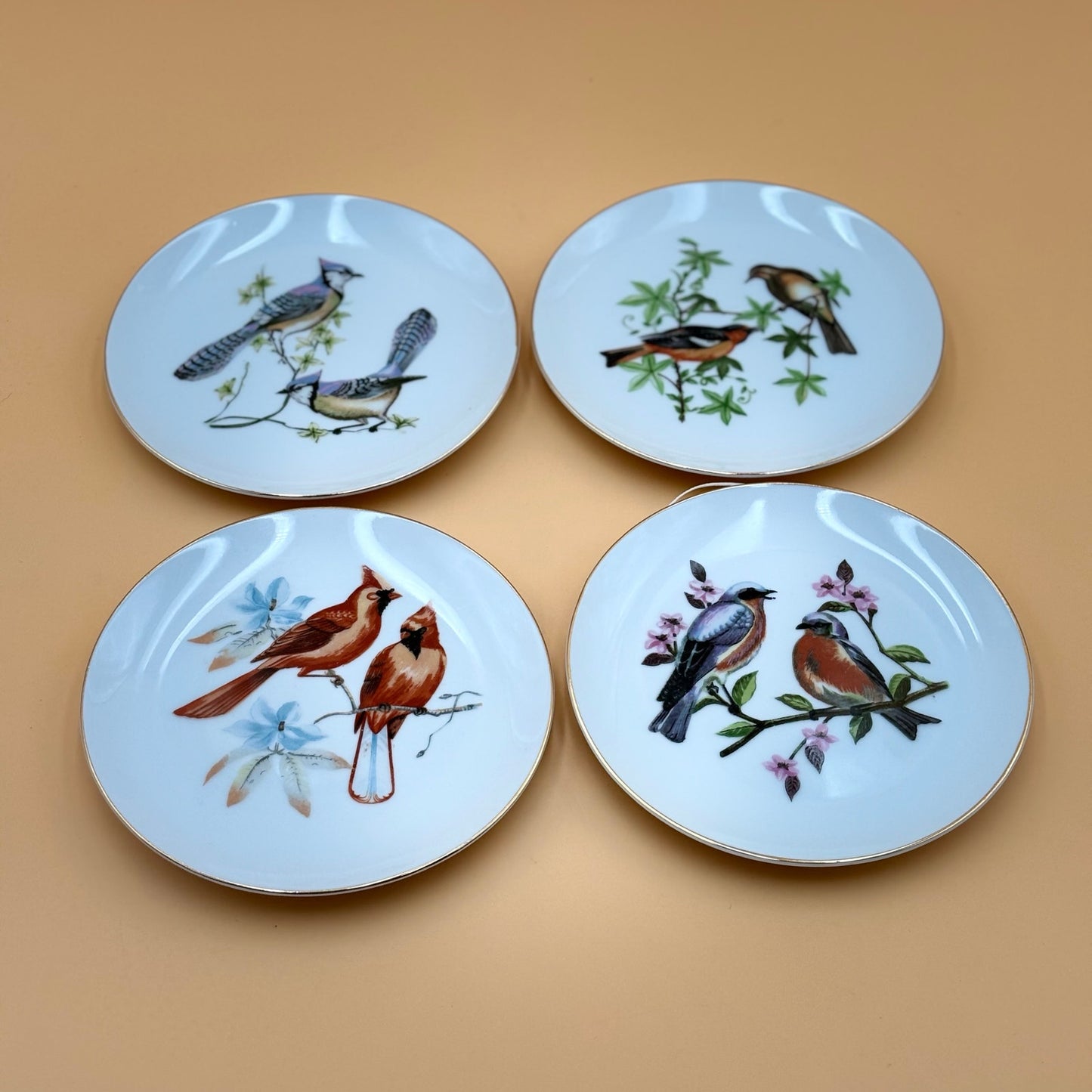 Chadwick Fine China Bird Plates – Set of 4 (Bluebird, Blue Jay, Cardinal, Oriole)