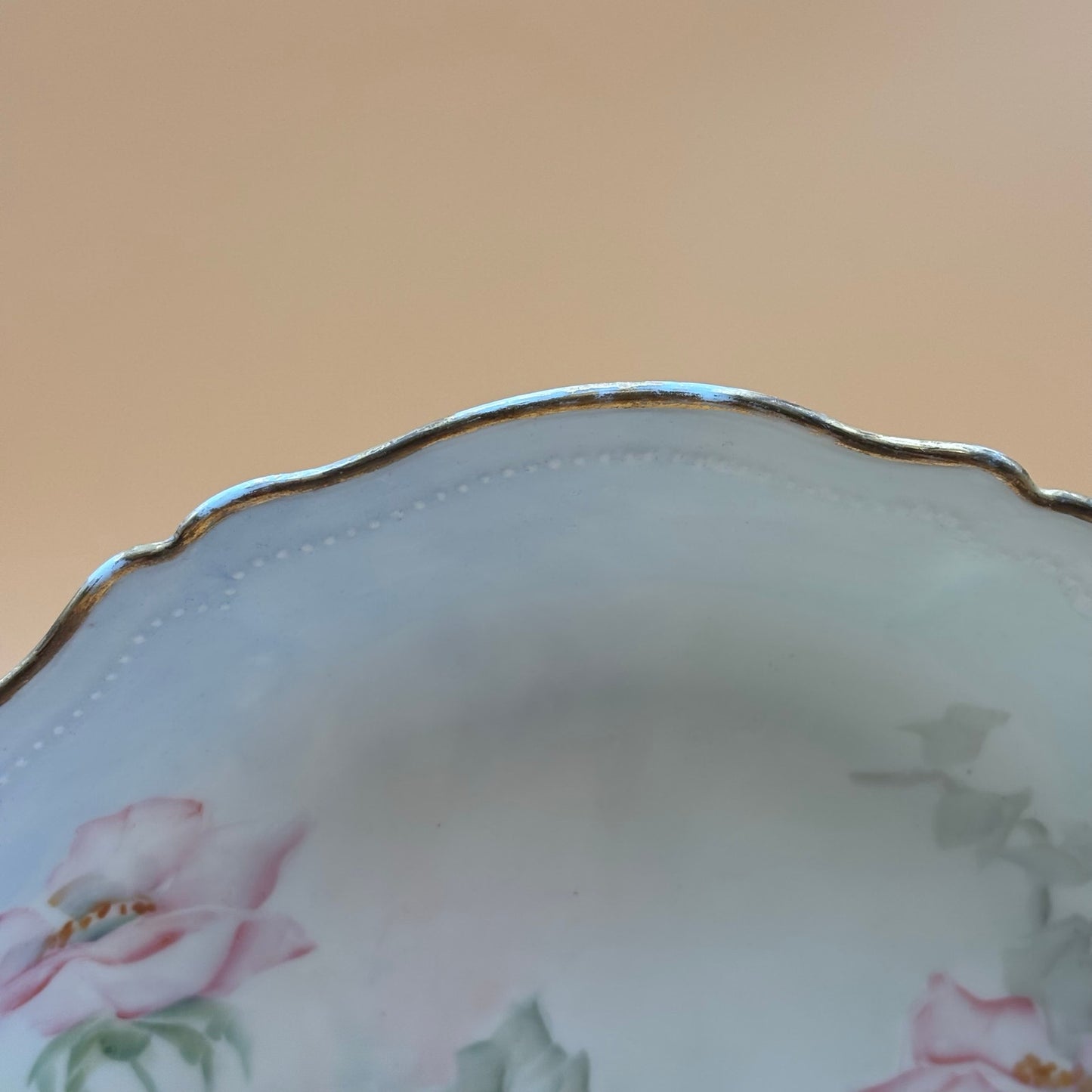 Antique 1907 O.&E.G. Royal Austria Hand-Painted Floral Plate – Signed McNeely