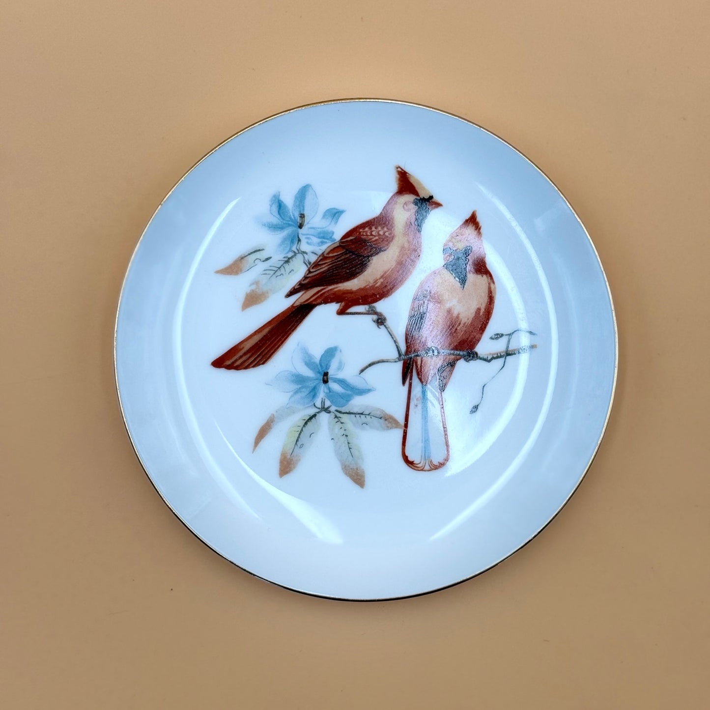 Chadwick Fine China Bird Plates – Set of 4 (Bluebird, Blue Jay, Cardinal, Oriole)