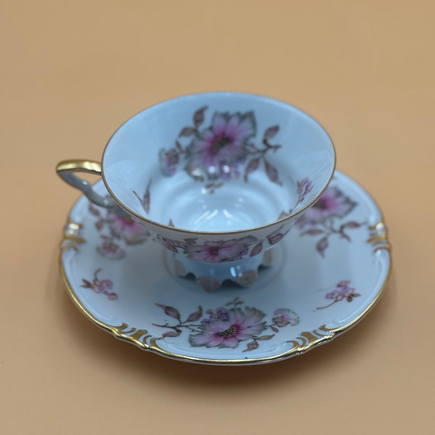 Vintage Mitterteich Bavaria Dogwood Teacup & Saucer - Gold Trim