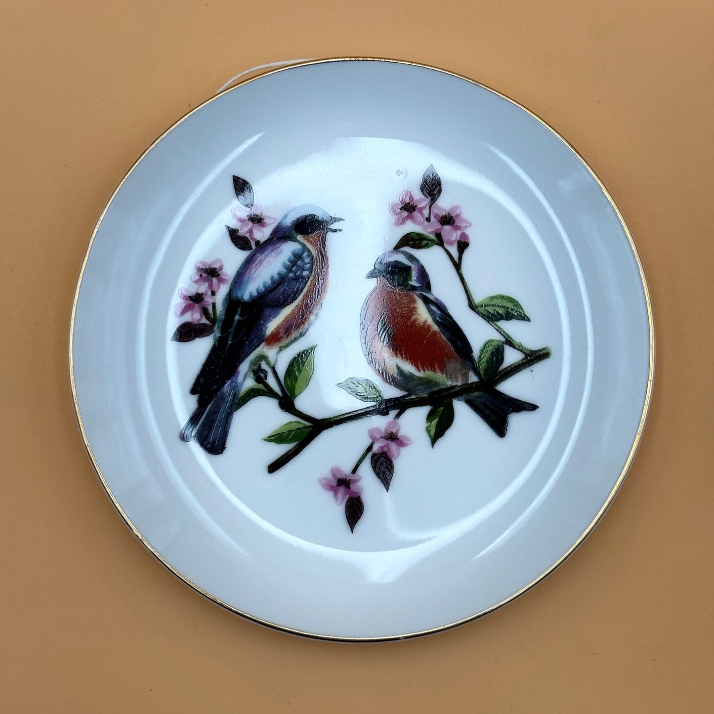 Chadwick Fine China Bird Plates – Set of 4 (Bluebird, Blue Jay, Cardinal, Oriole)