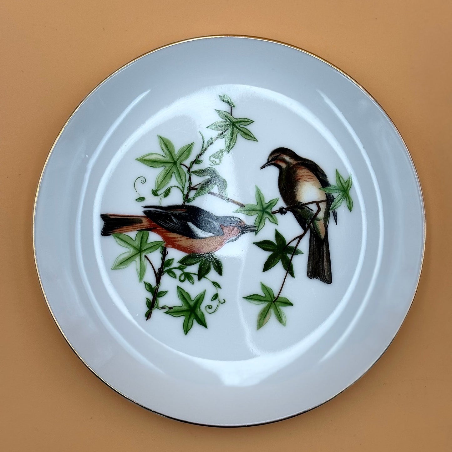 Chadwick Fine China Bird Plates – Set of 4 (Bluebird, Blue Jay, Cardinal, Oriole)