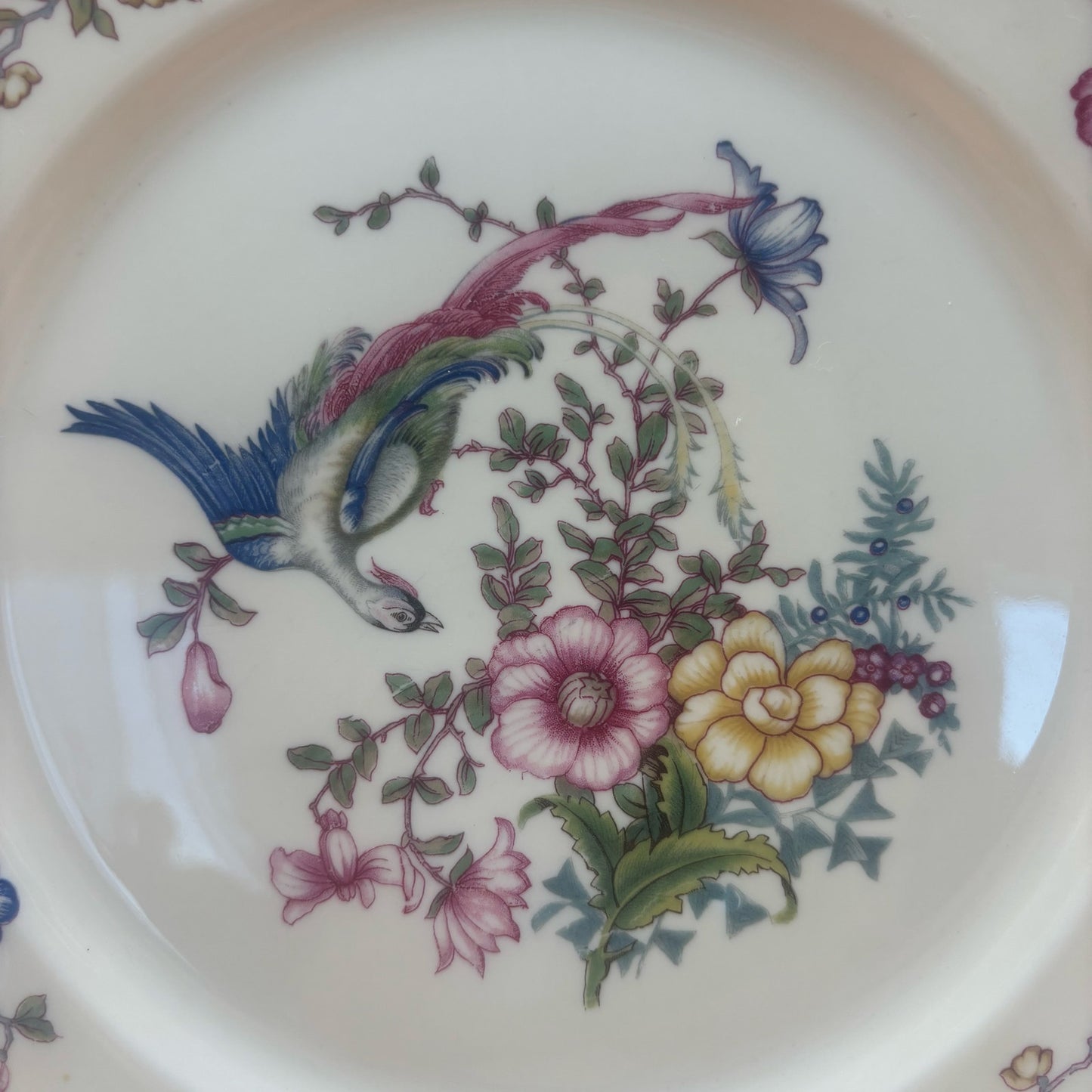 Rosenthal Continental Phoenix Plates – 1 Dinner (9¼″) + 6 Salad (6¼″) – Bird & Floral with Beaded Rim