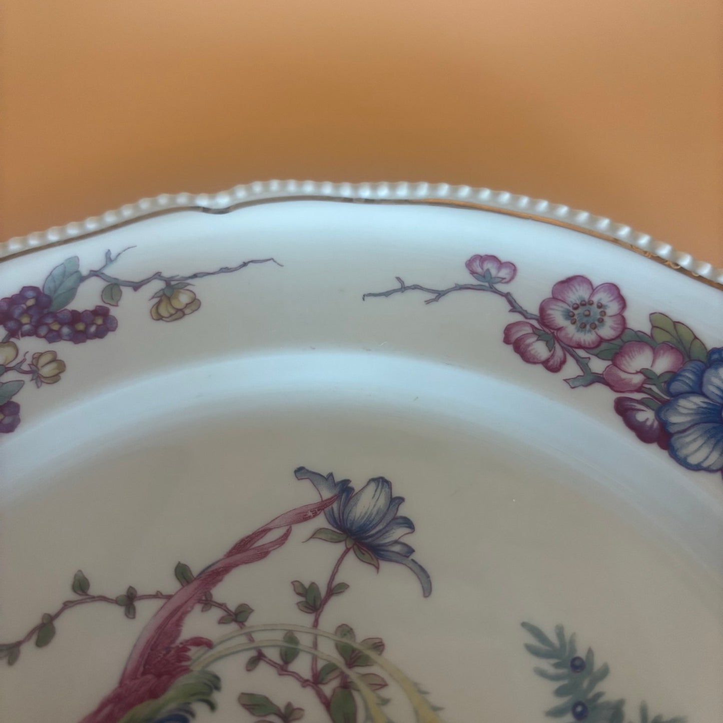 Rosenthal Continental Phoenix Plates – 1 Dinner (9¼″) + 6 Salad (6¼″) – Bird & Floral with Beaded Rim