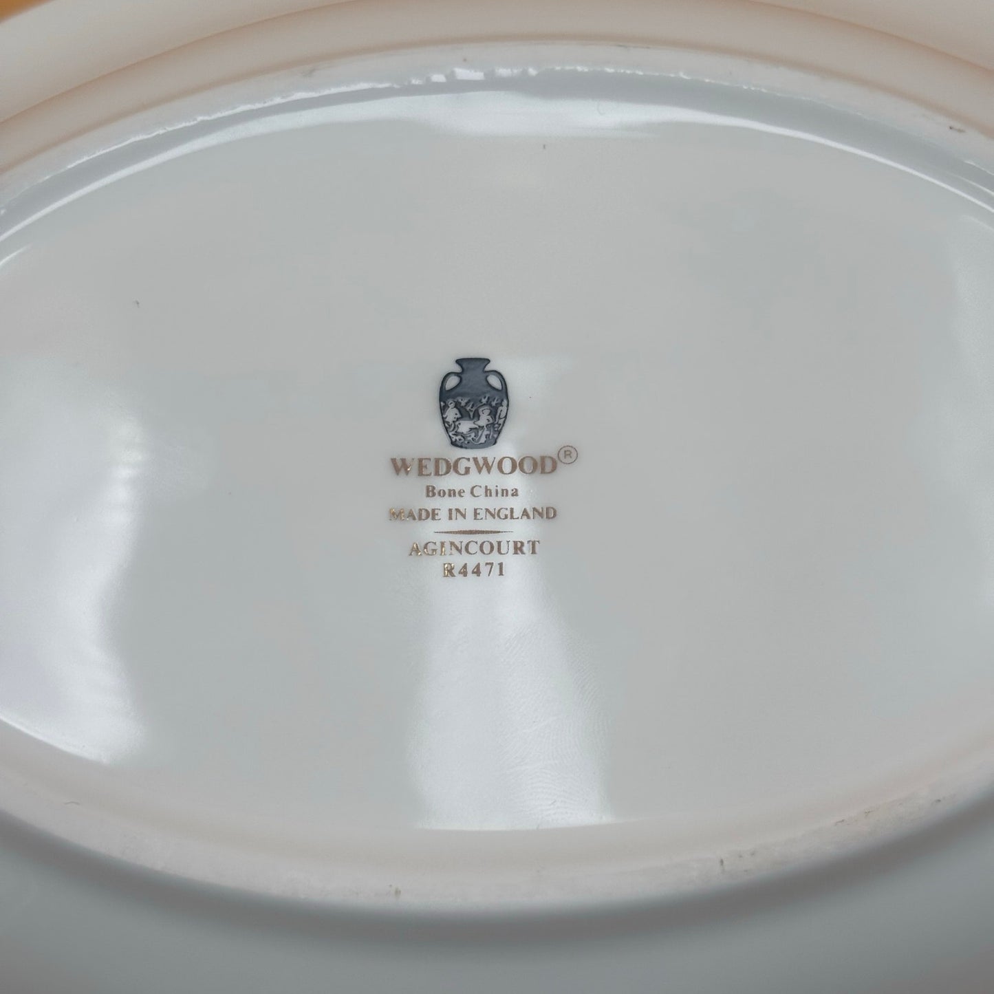 Wedgwood Agincourt R4471 Bone China Pasta/Serving Bowl – Silver-Tone Rim