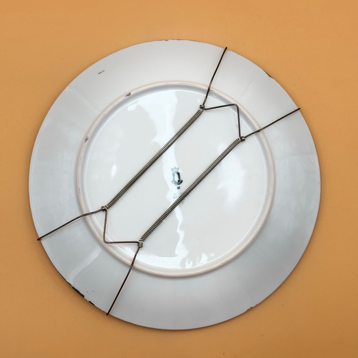 Schönwald Germany Porcelain Plate – Hand-Painted Plum Motif – 10”