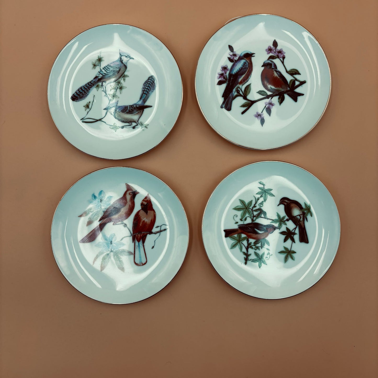 Chadwick Fine China Bird Plates – Set of 4 (Bluebird, Blue Jay, Cardinal, Oriole)