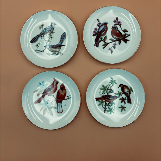 Chadwick Fine China Bird Plates – Set of 4 (Bluebird, Blue Jay, Cardinal, Oriole)