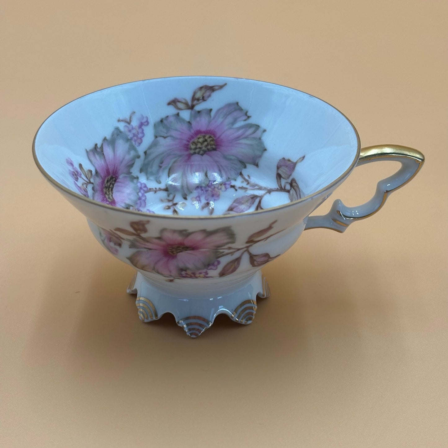 Vintage Mitterteich Bavaria Dogwood Teacup & Saucer - Gold Trim