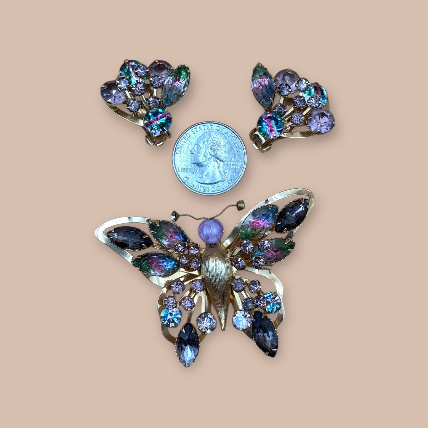 Selro Selini Watermelon Rhinestone Butterfly Brooch & Earrings – Rare Set