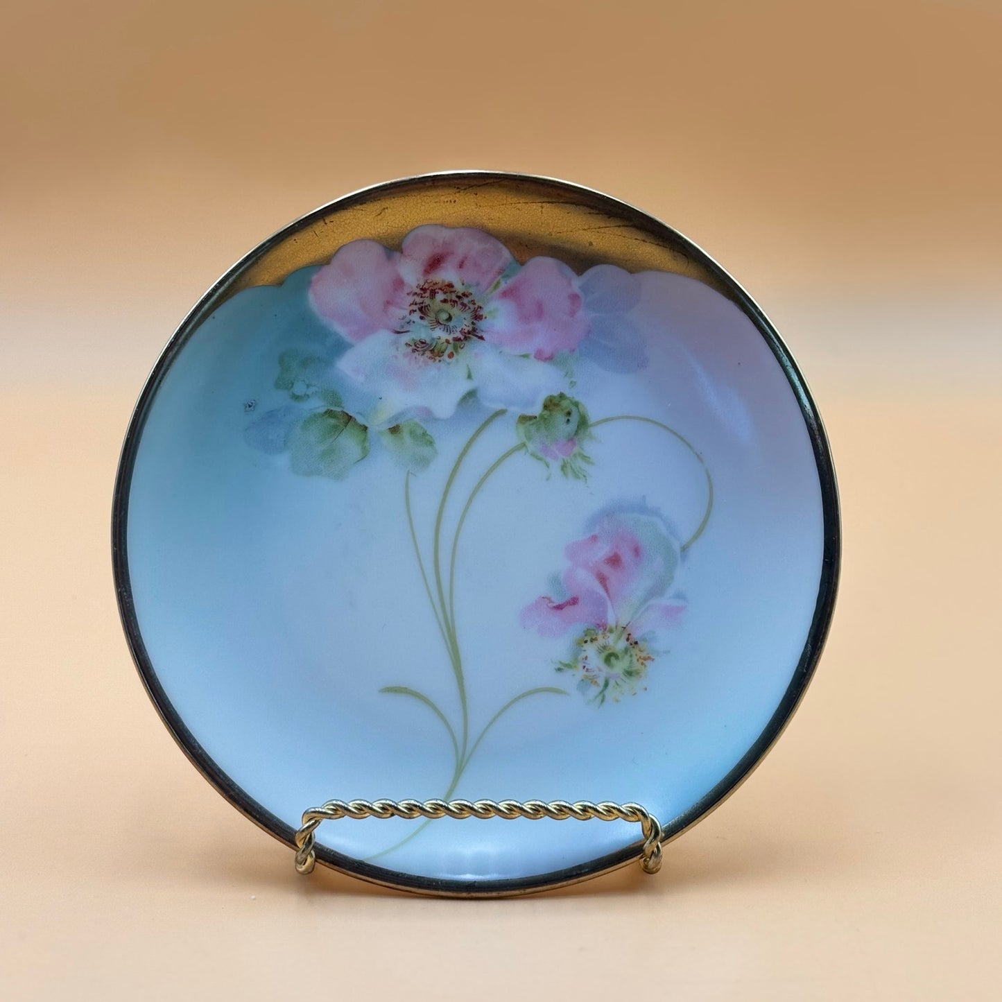 Antique PM Bavaria Hand-Painted Floral Porcelain Plate – 6”