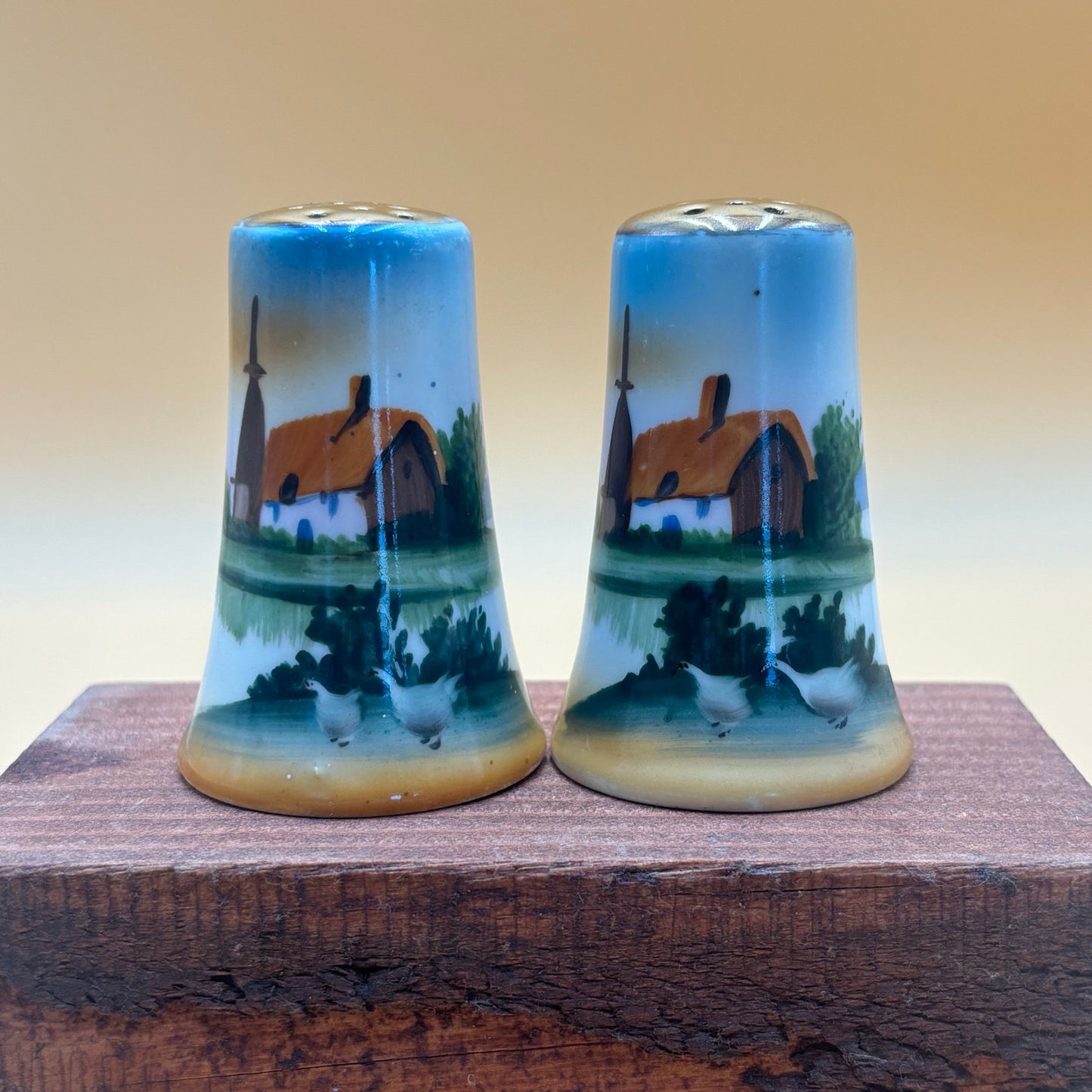 Vintage Hand-Painted Dutch Scene Salt & Pepper Shakers - Japan