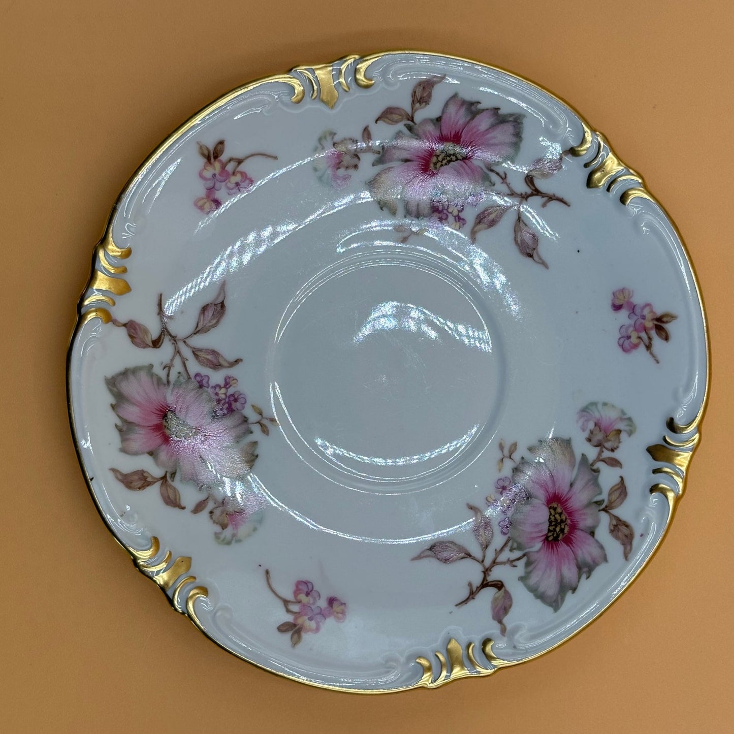 Vintage Mitterteich Bavaria Dogwood Teacup & Saucer - Gold Trim