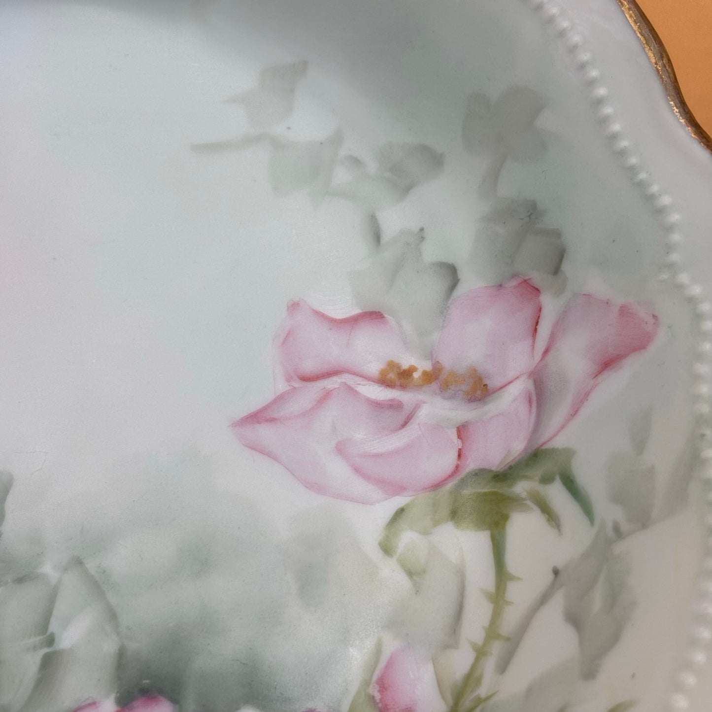 Antique 1907 O.&E.G. Royal Austria Hand-Painted Floral Plate – Signed McNeely
