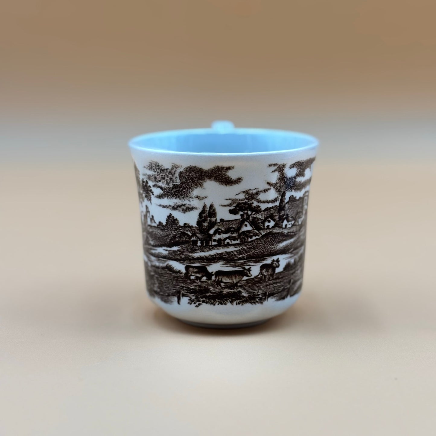 Royal Staffordshire Stratford Stage Cup and Saucer – J.&G. Meakin England