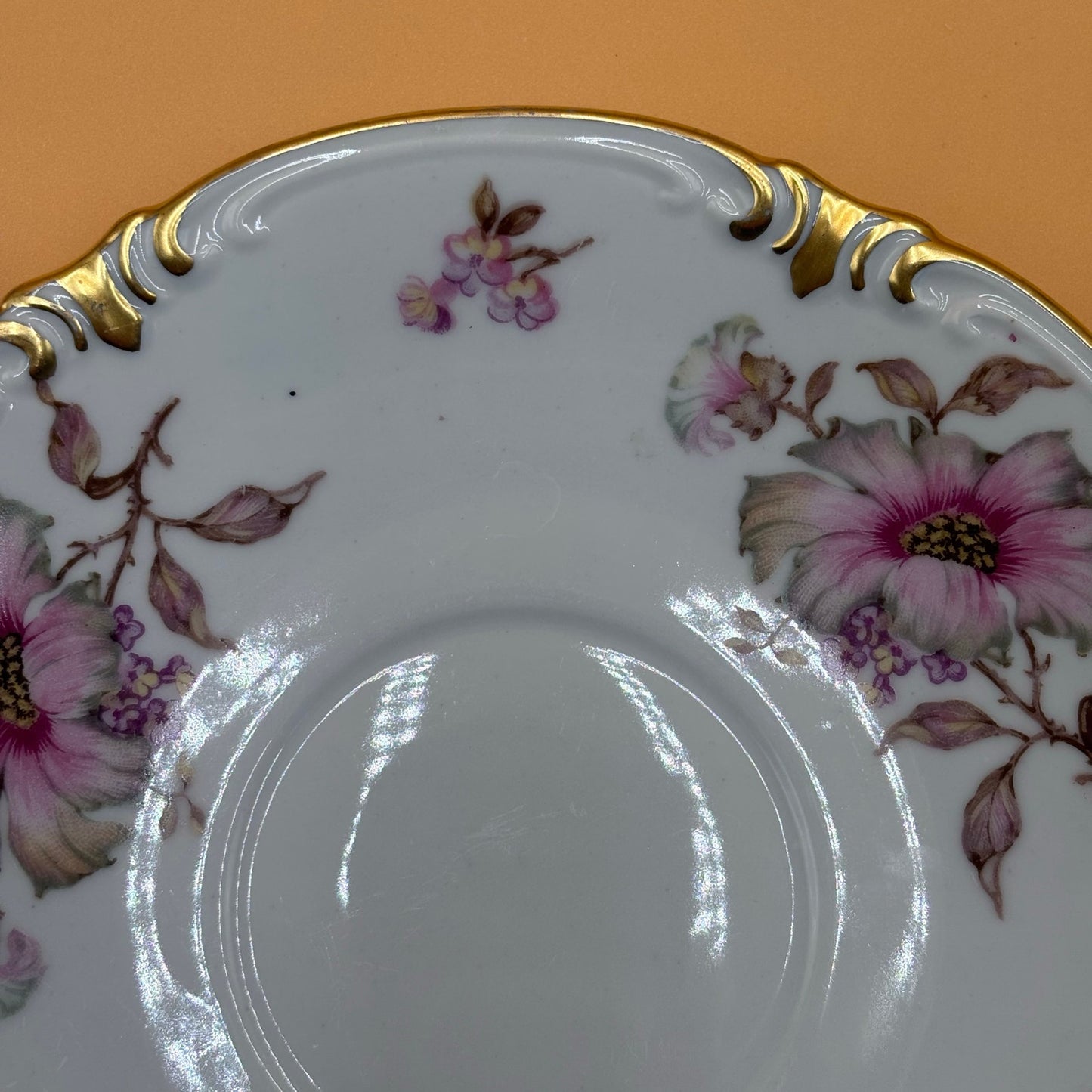 Vintage Mitterteich Bavaria Dogwood Teacup & Saucer - Gold Trim