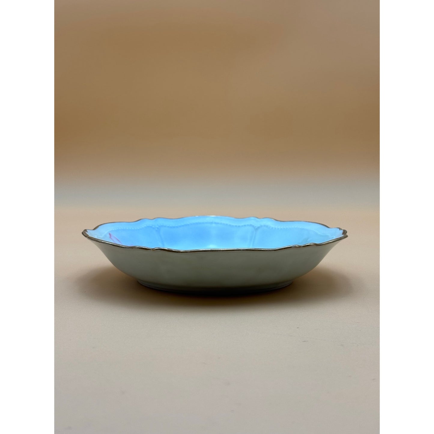 Antique 1907 O.&E.G. Royal Austria Hand-Painted Floral Plate – Signed McNeely