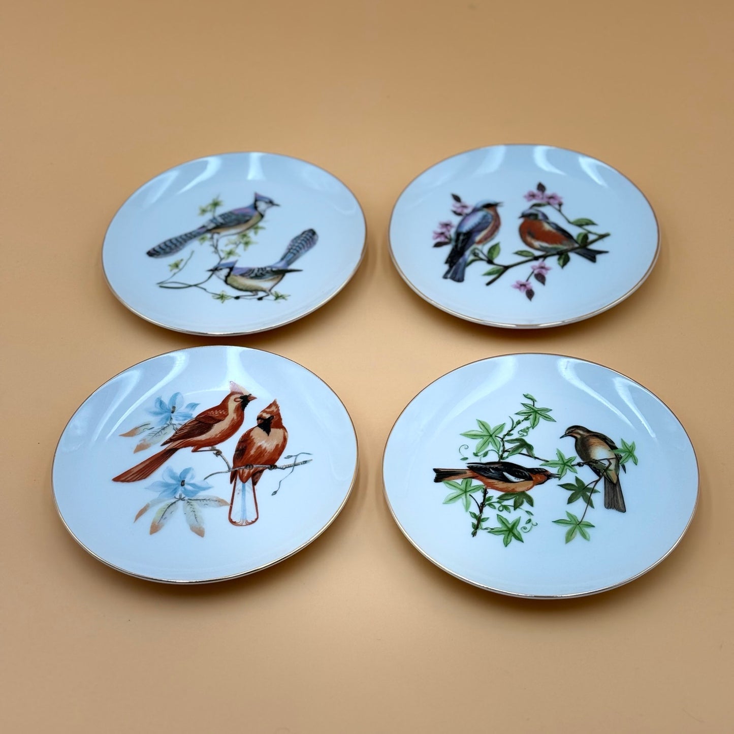 Chadwick Fine China Bird Plates – Set of 4 (Bluebird, Blue Jay, Cardinal, Oriole)