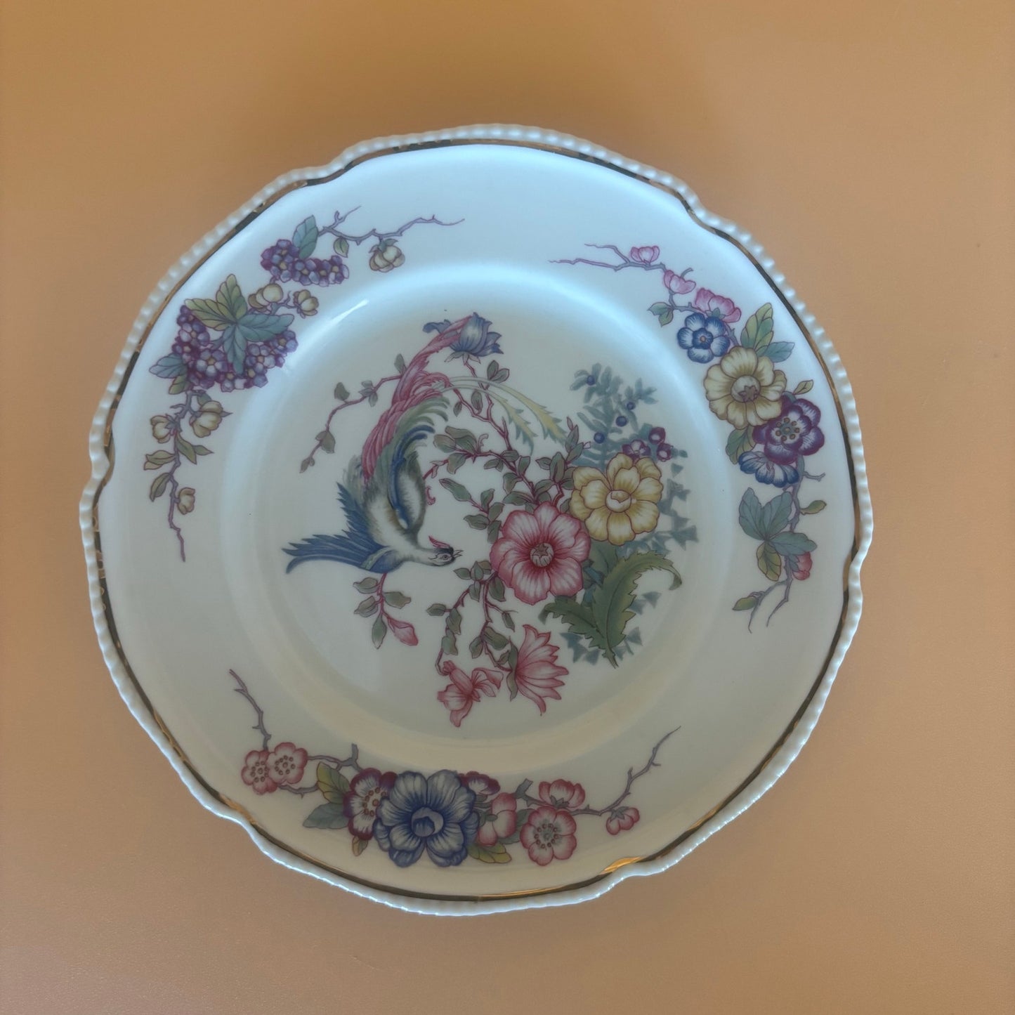 Rosenthal Continental Phoenix Plates – 1 Dinner (9¼″) + 6 Salad (6¼″) – Bird & Floral with Beaded Rim