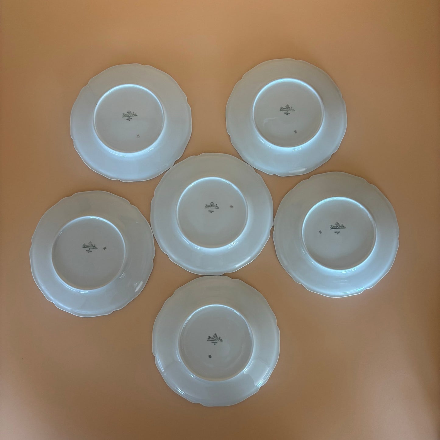 Rosenthal Continental Phoenix Plates – 1 Dinner (9¼″) + 6 Salad (6¼″) – Bird & Floral with Beaded Rim