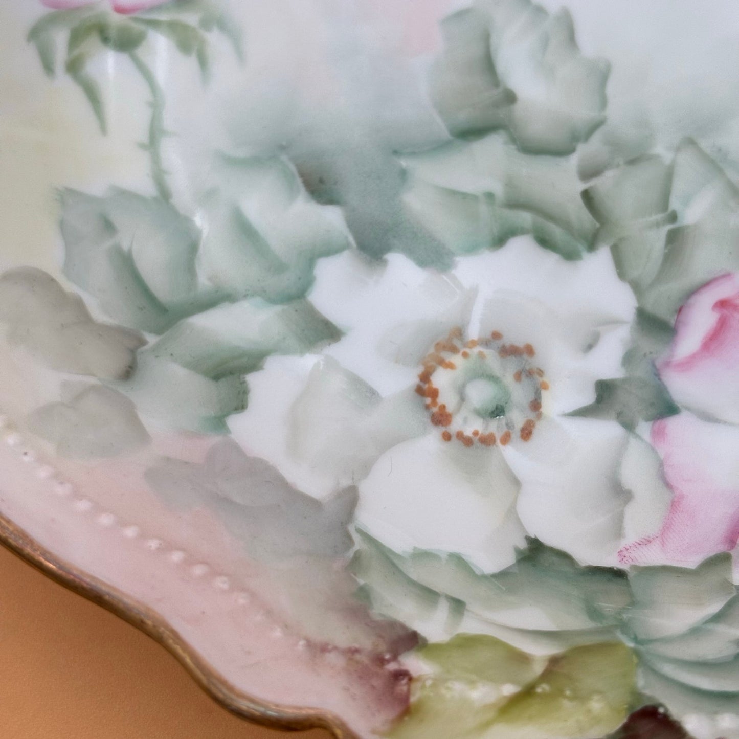 Antique 1907 O.&E.G. Royal Austria Hand-Painted Floral Plate – Signed McNeely