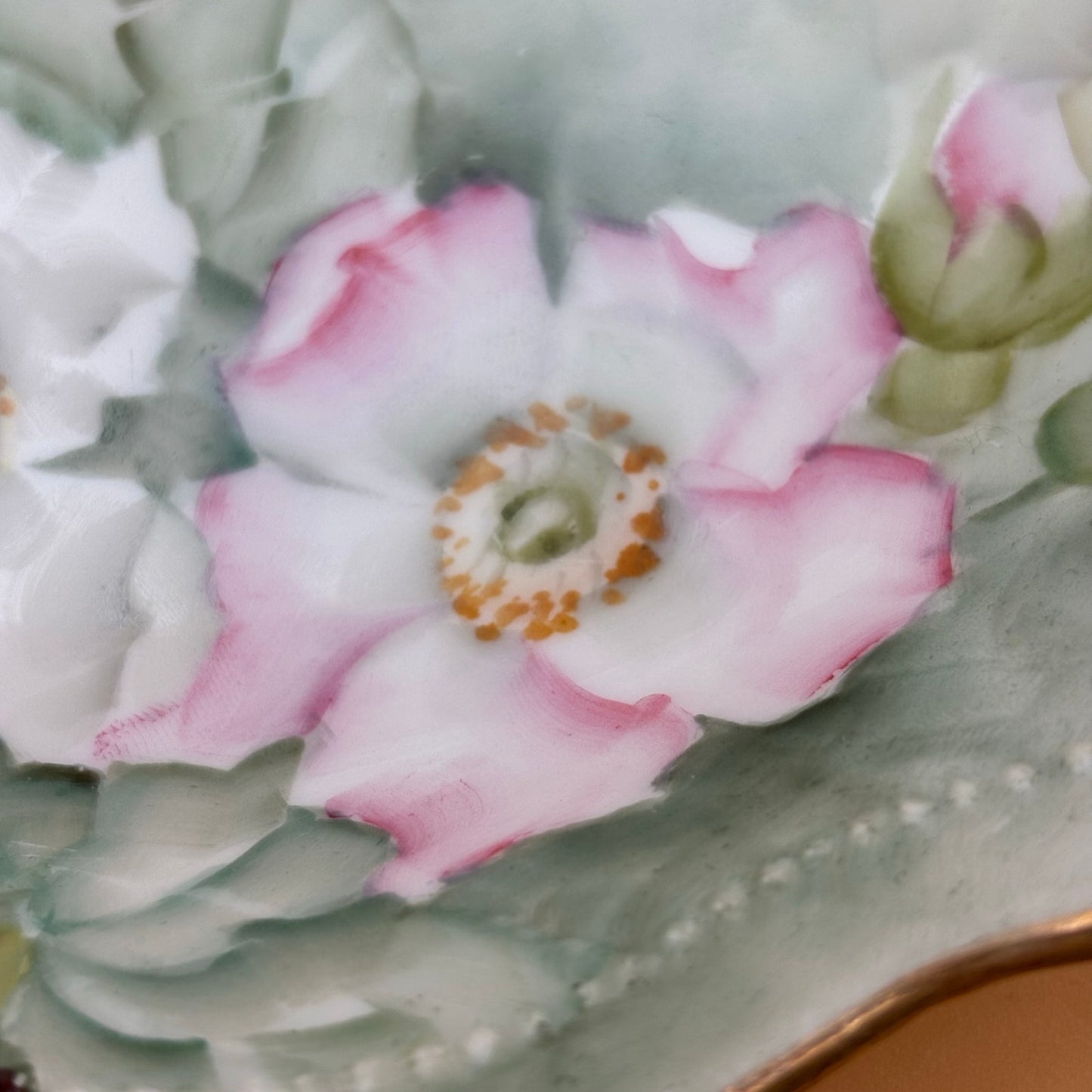 Antique 1907 O.&E.G. Royal Austria Hand-Painted Floral Plate – Signed McNeely