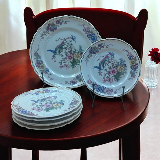 Rosenthal Continental Phoenix Plates – 1 Dinner (9¼″) + 6 Salad (6¼″) – Bird & Floral with Beaded Rim