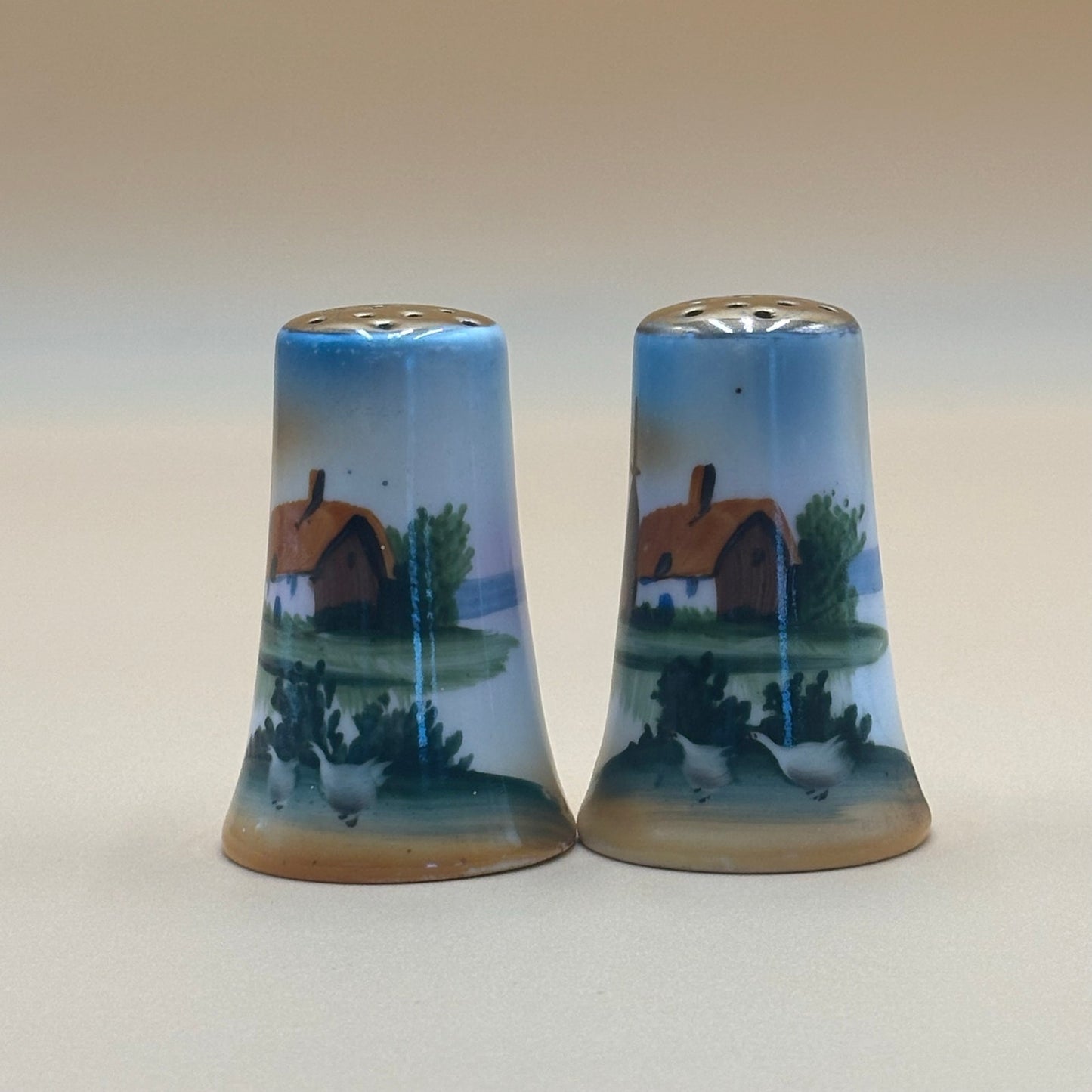 Vintage Hand-Painted Dutch Scene Salt & Pepper Shakers - Japan