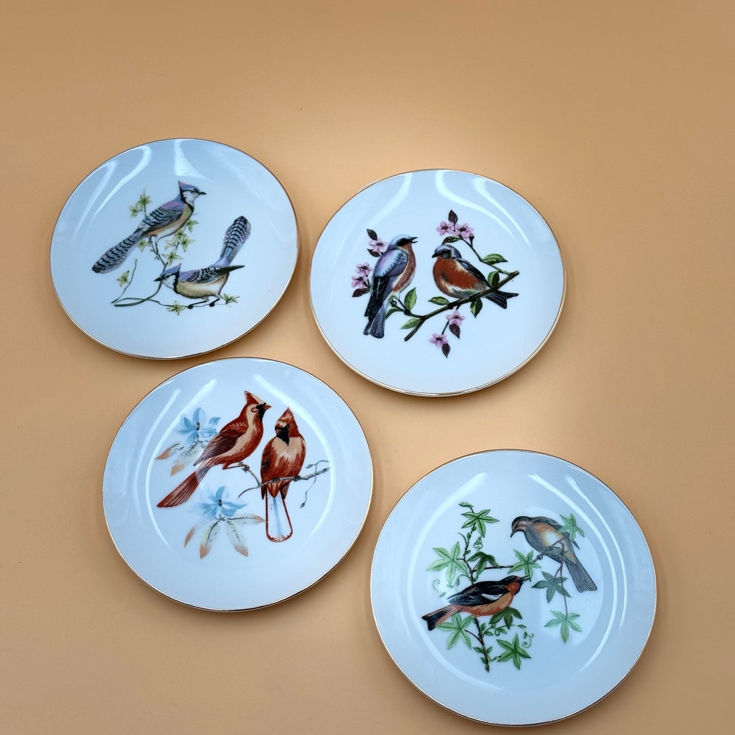 Chadwick Fine China Bird Plates – Set of 4 (Bluebird, Blue Jay, Cardinal, Oriole)