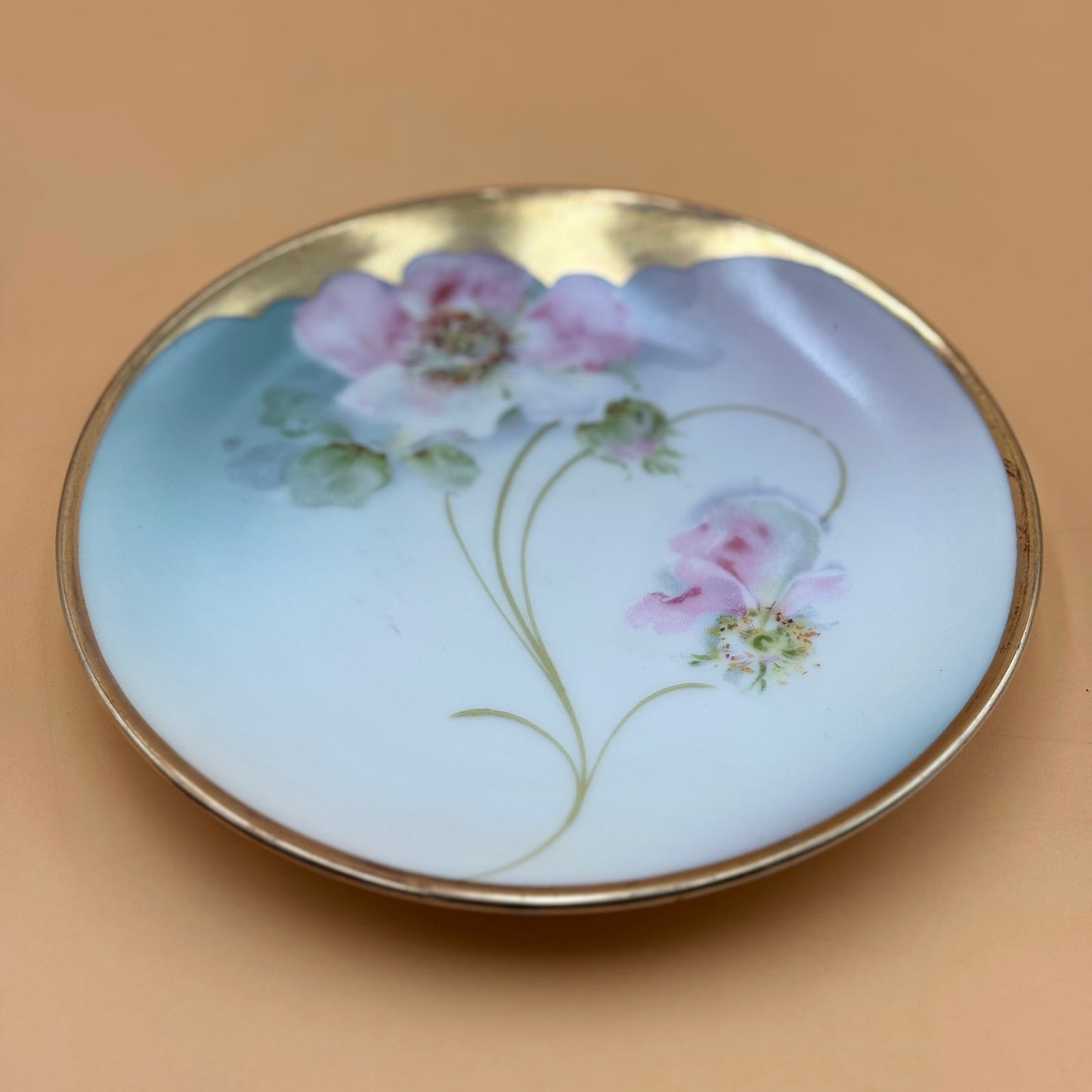Antique PM Bavaria Hand-Painted Floral Porcelain Plate – 6”