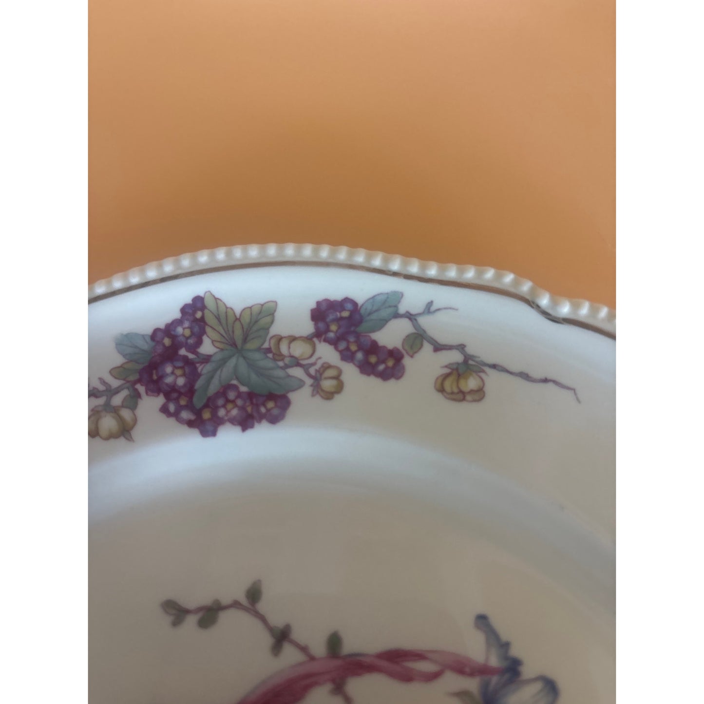 Rosenthal Continental Phoenix Plates – 1 Dinner (9¼″) + 6 Salad (6¼″) – Bird & Floral with Beaded Rim