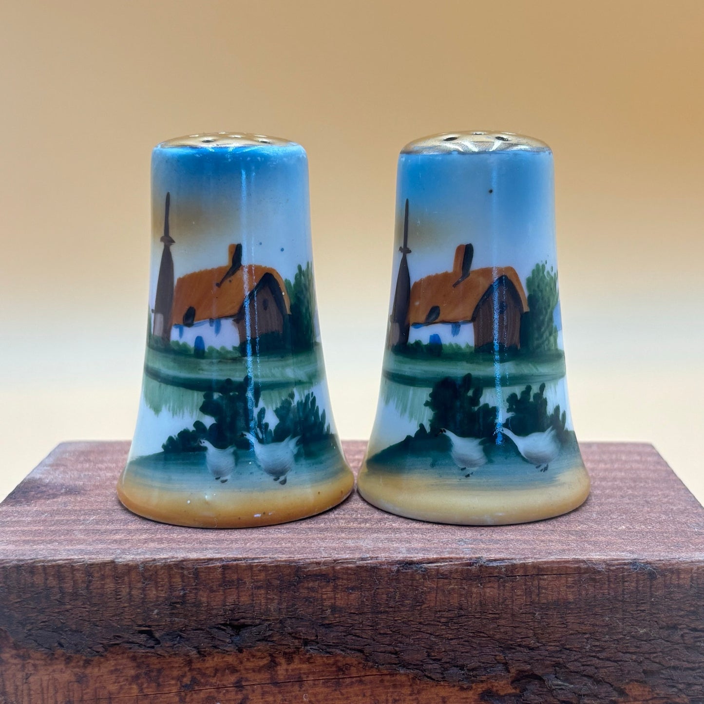 Vintage Hand-Painted Dutch Scene Salt & Pepper Shakers - Japan