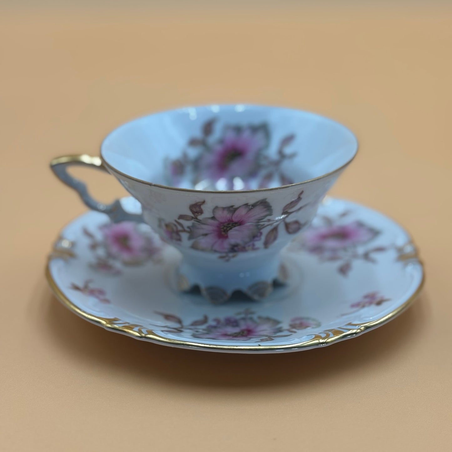 Vintage Mitterteich Bavaria Dogwood Teacup & Saucer - Gold Trim