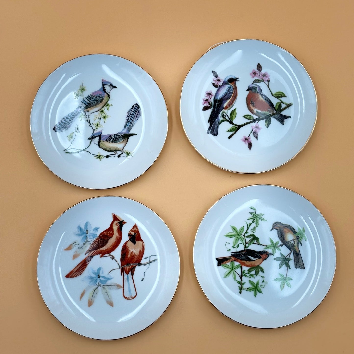 Chadwick Fine China Bird Plates – Set of 4 (Bluebird, Blue Jay, Cardinal, Oriole)