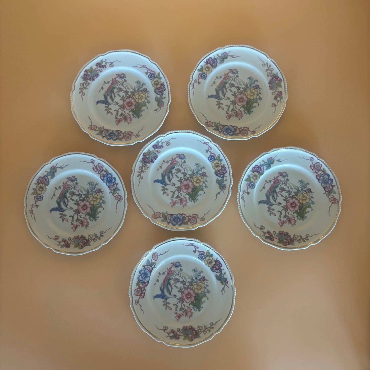Rosenthal Continental Phoenix Plates – 1 Dinner (9¼″) + 6 Salad (6¼″) – Bird & Floral with Beaded Rim