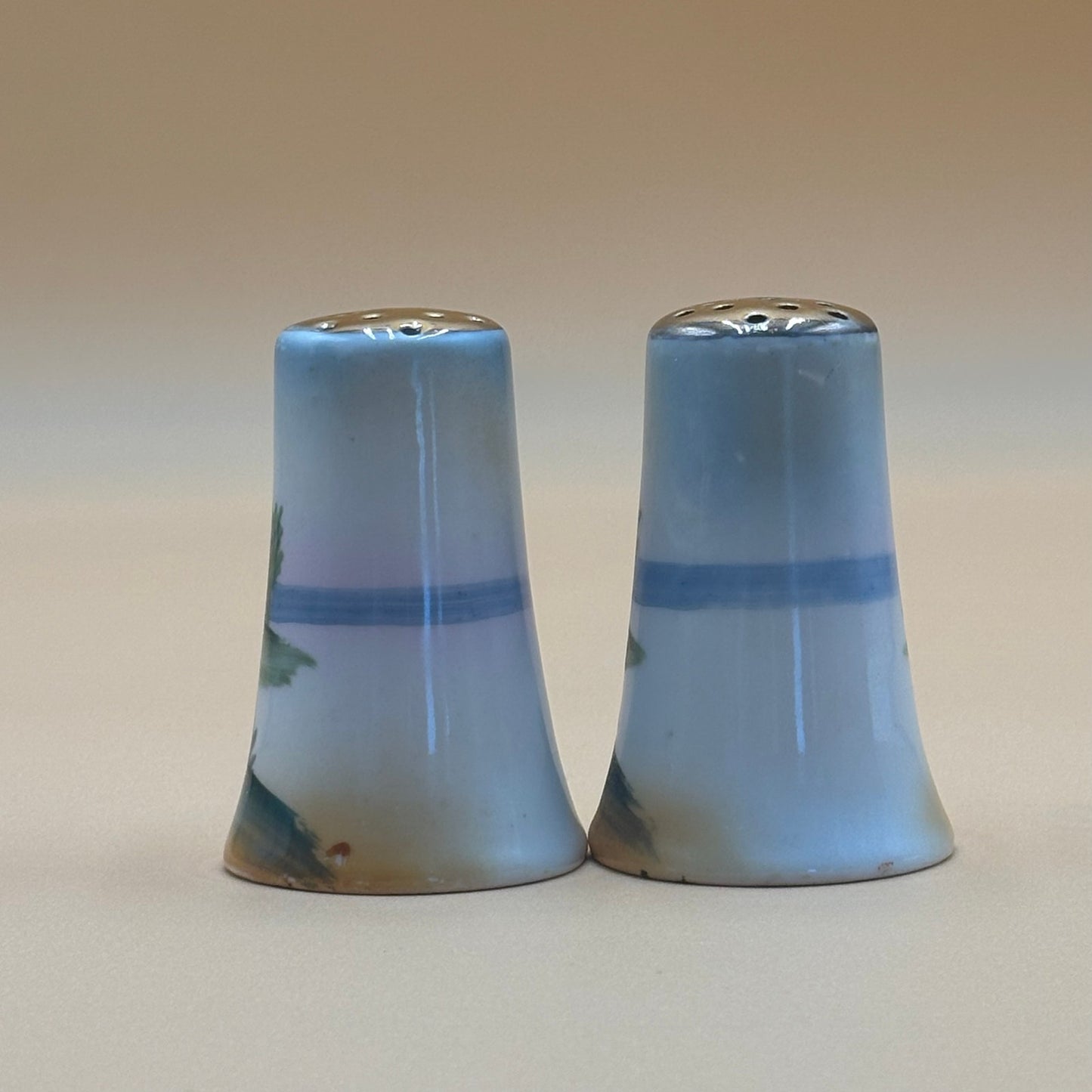 Vintage Hand-Painted Dutch Scene Salt & Pepper Shakers - Japan