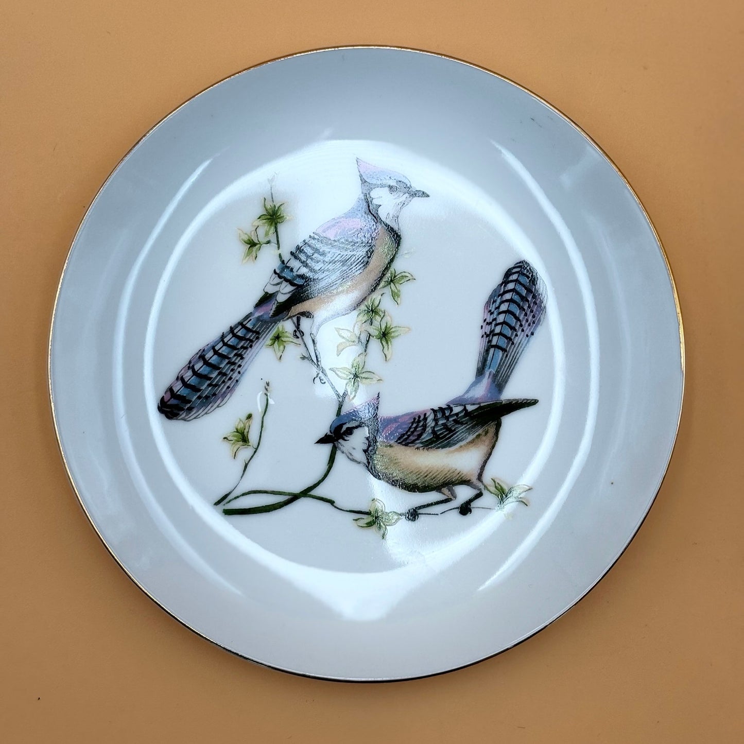 Chadwick Fine China Bird Plates – Set of 4 (Bluebird, Blue Jay, Cardinal, Oriole)