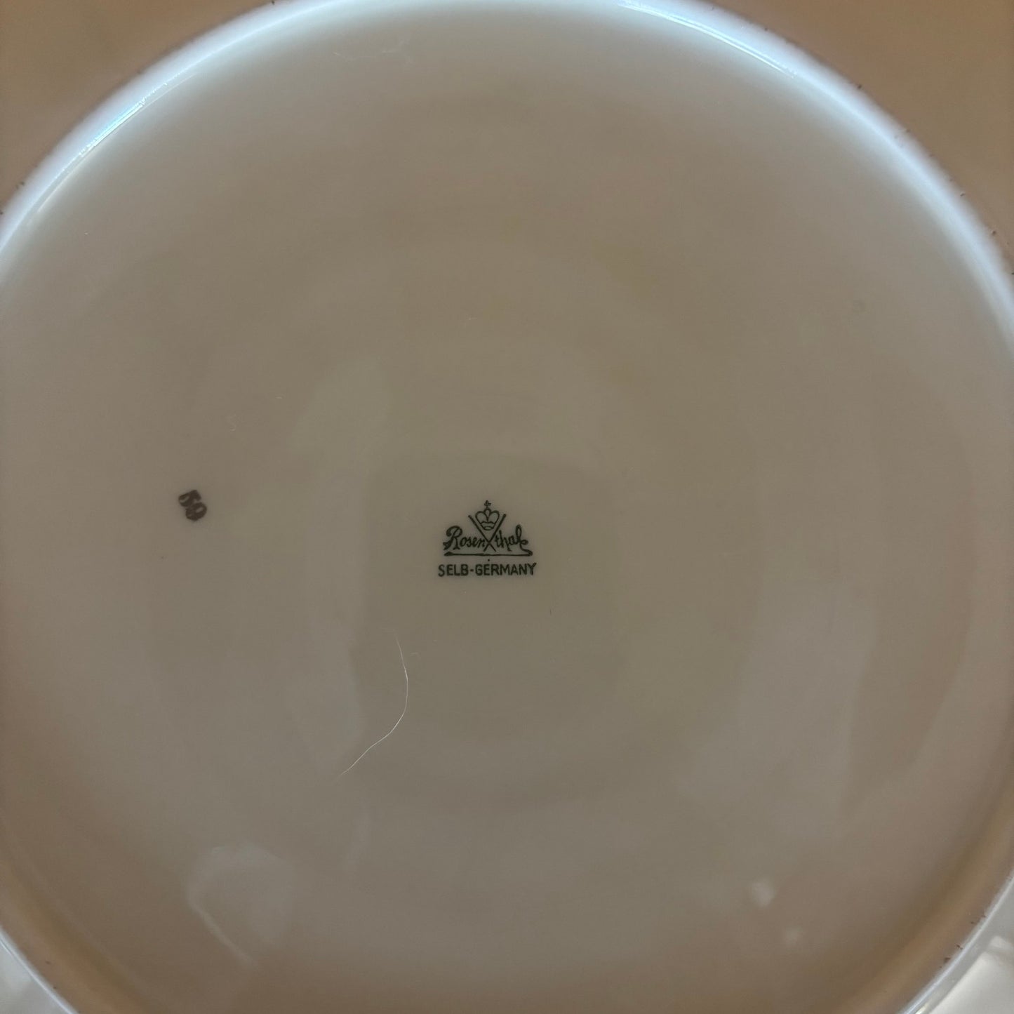 Rosenthal Continental Phoenix Plates – 1 Dinner (9¼″) + 6 Salad (6¼″) – Bird & Floral with Beaded Rim